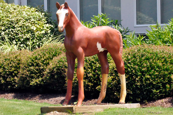 painted horse